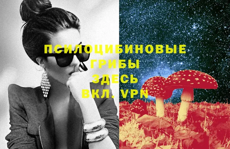 Галлюциногенные грибы MAGIC MUSHROOMS  Межгорье 